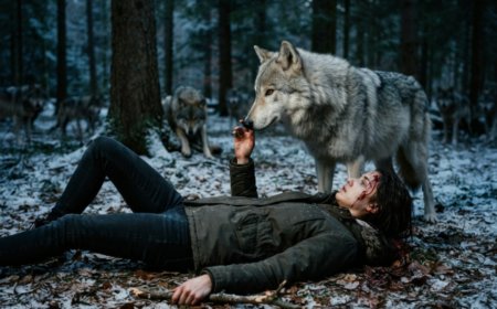 “Is she dead?” Brett’s voice wavered as Tyler knelt over her, checking her pulse. He smiled and said, "Let her freeze. The wolves will finish what we started." Then he climbed into his truck and drove away, leaving Sarah Mitchell bleeding on the frozen ground. What he didn’t know was that the forest had been watching — and it remembered everything.